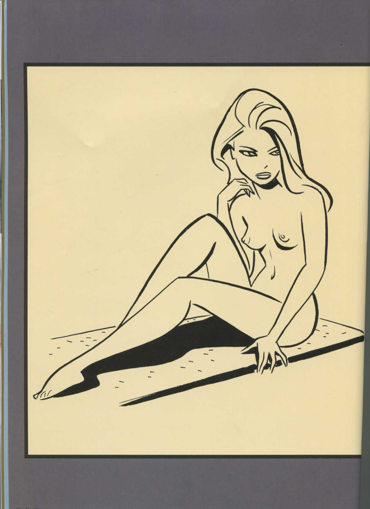 THe Good Girl Art of Bruce TIMM Naughty and nice