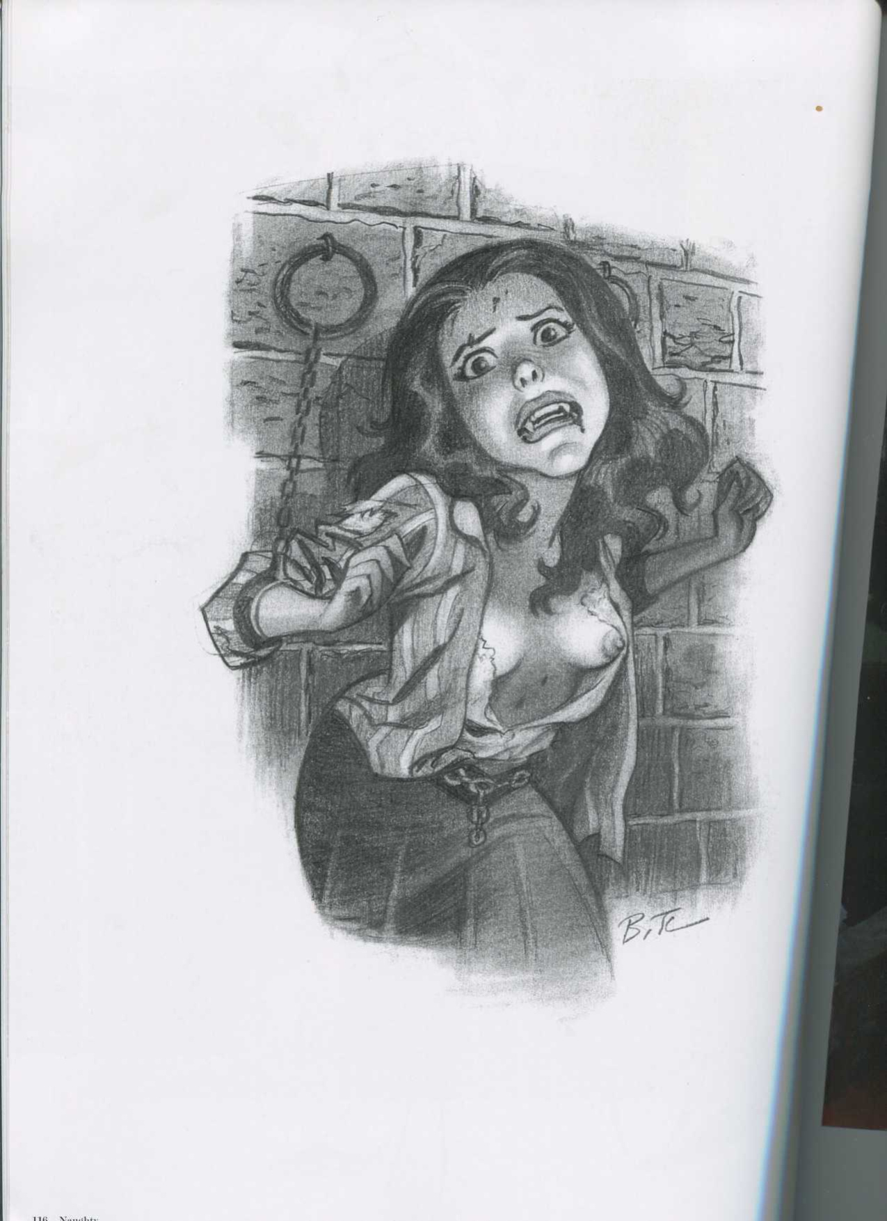 THe Good Girl Art of Bruce TIMM Naughty and nice
