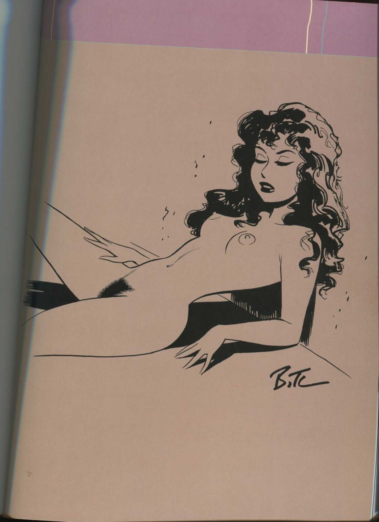 THe Good Girl Art of Bruce TIMM Naughty and nice