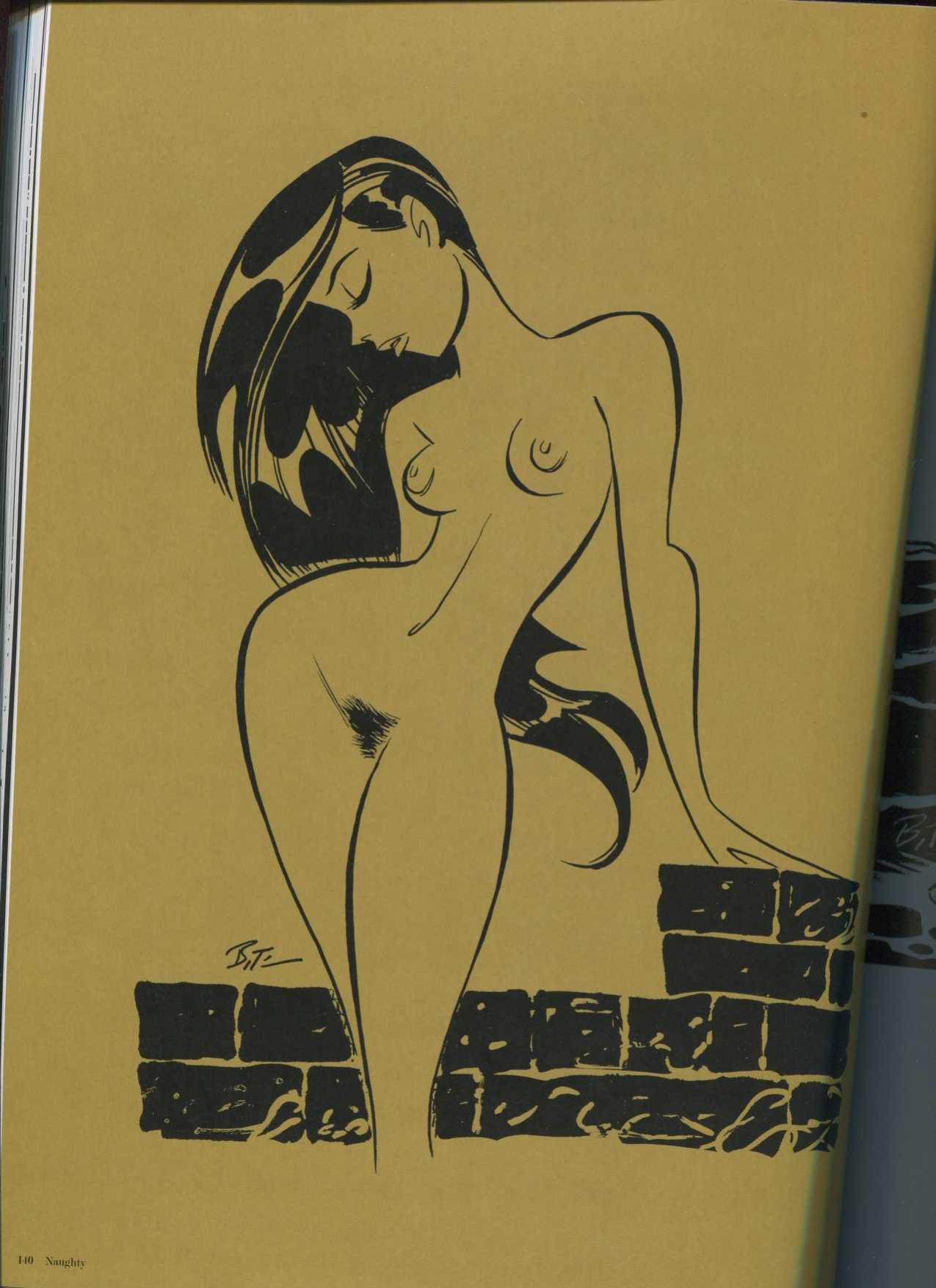 THe Good Girl Art of Bruce TIMM Naughty and nice