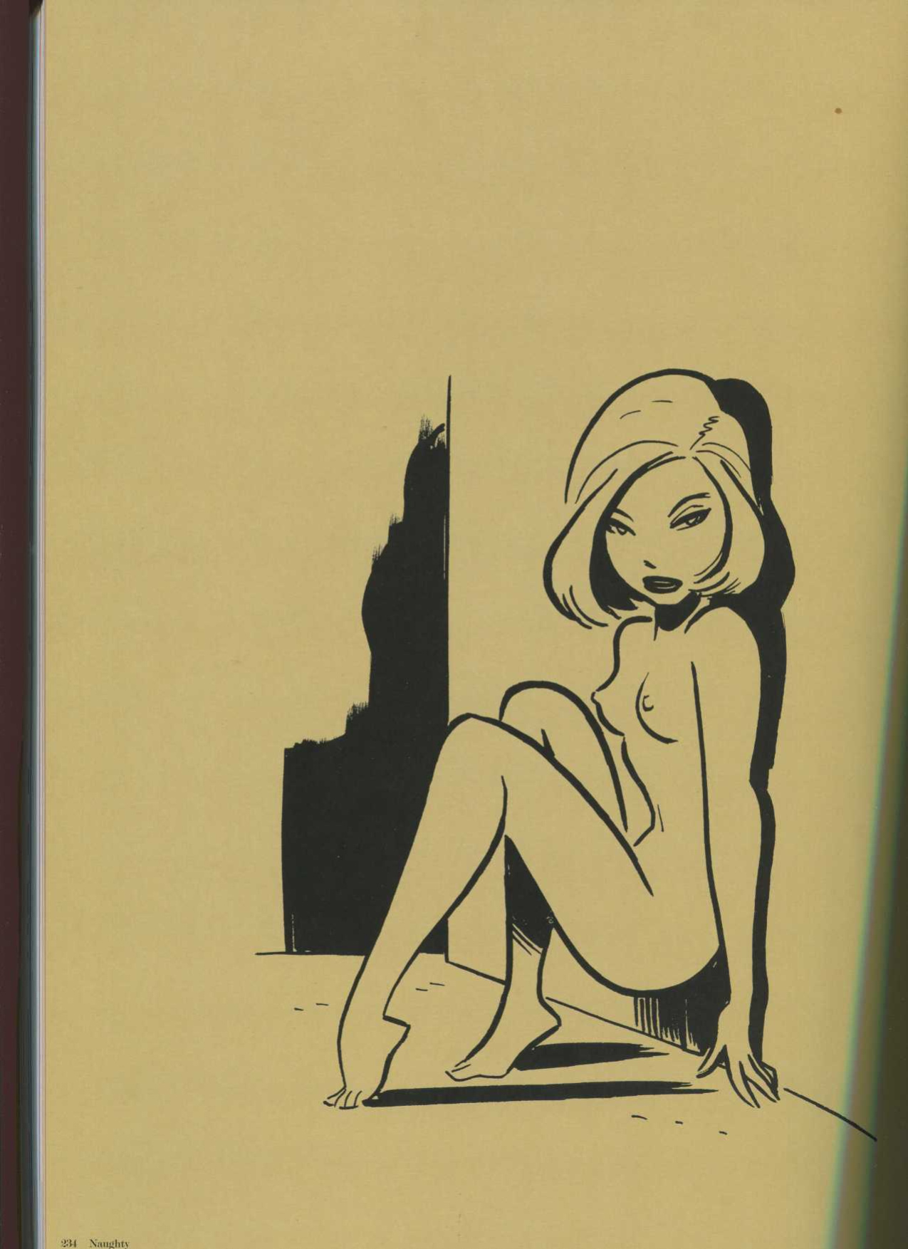 THe Good Girl Art of Bruce TIMM Naughty and nice