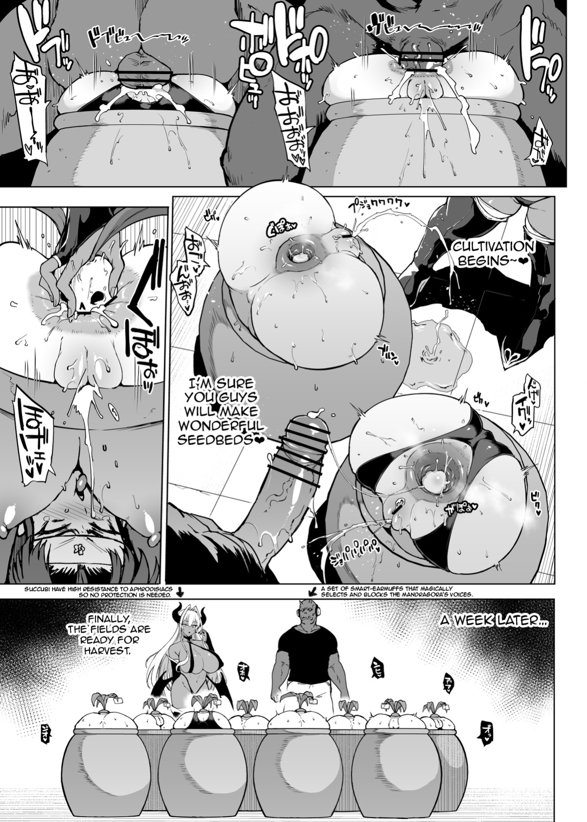 [Fan no Hitori] "Taimabu Season 3" VS Mandragora [Jormungandr]