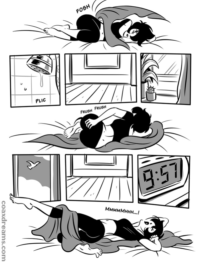 Another Pet's Story
