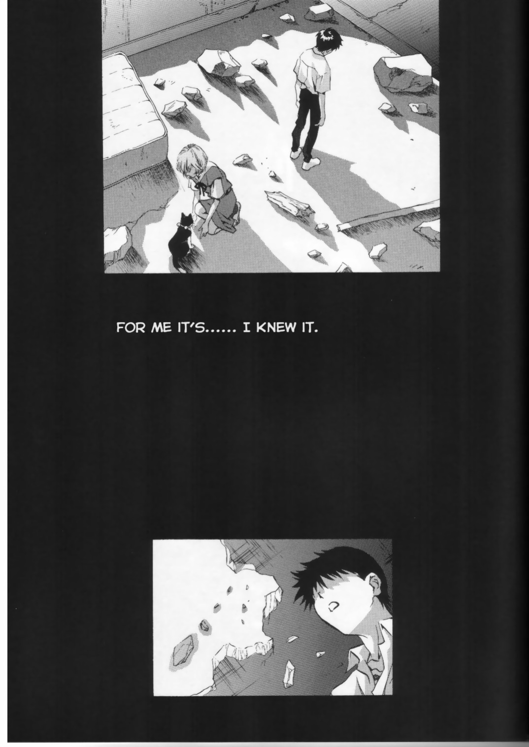 [Henreikai (Kawarajima Koh)] AYANAMI SUMMIT (Neon Genesis Evangelion) [QazzyzzaQ]
