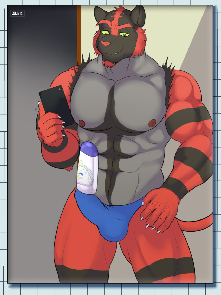 Pokemon Zourik (artist) TN