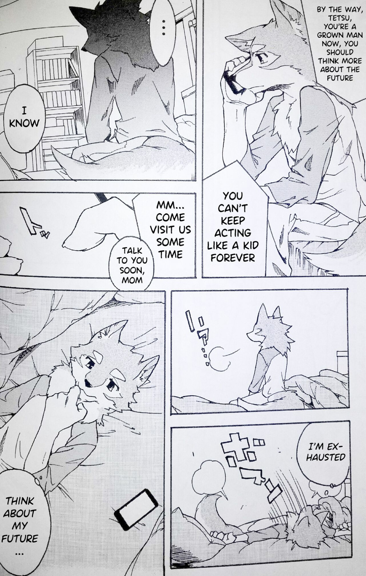 (Kemoket 5) [Heisei Radio Denki (Kibayashi Oji)] Gin Iro no Tetsu 2 | Silver Colored Iron 2 [Incorrigibal]