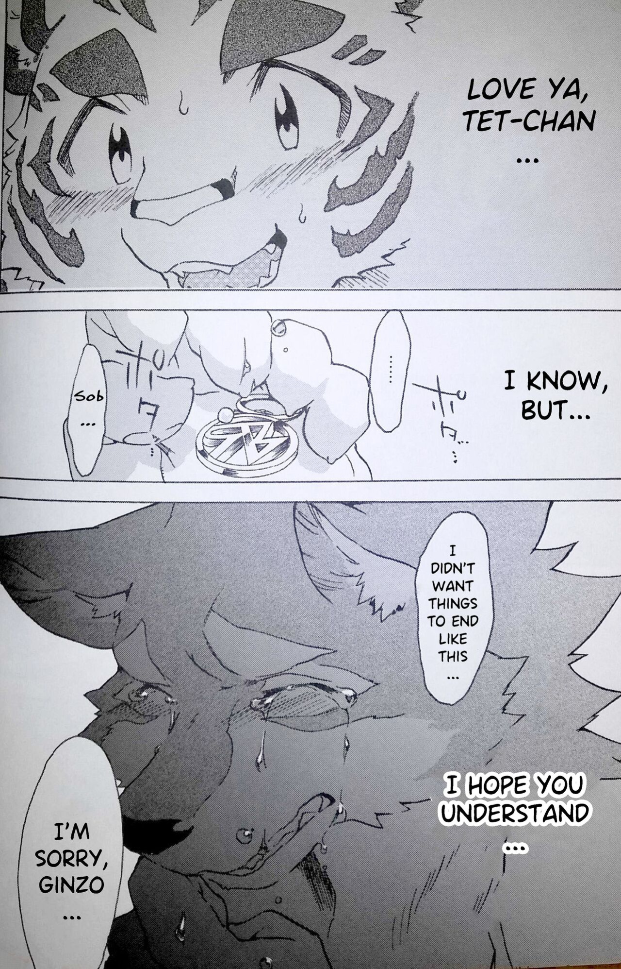 (Kemoket 5) [Heisei Radio Denki (Kibayashi Oji)] Gin Iro no Tetsu 2 | Silver Colored Iron 2 [Incorrigibal]