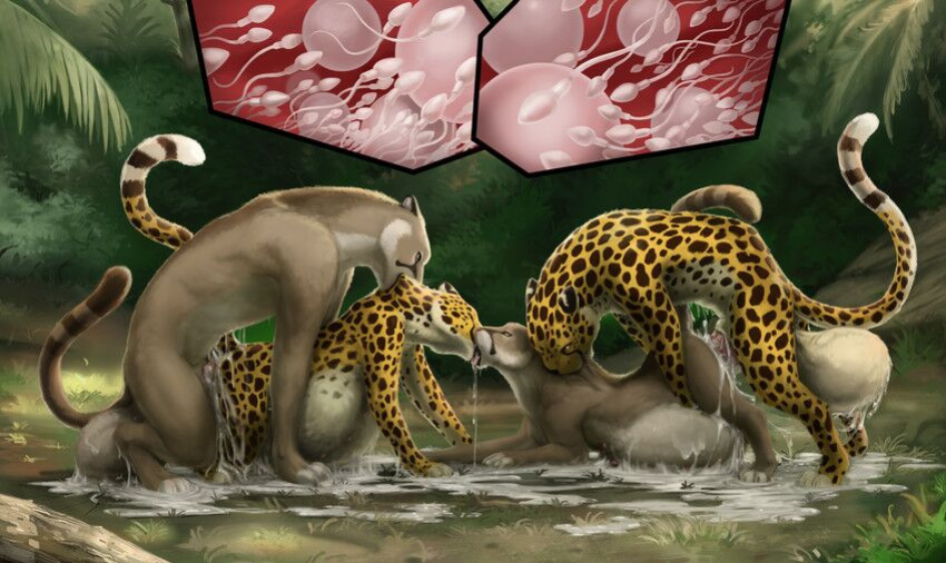 Impregnation & Pregnancy Images - (Various Artists)