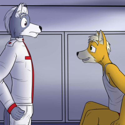 Fox and Wolf by Fuze