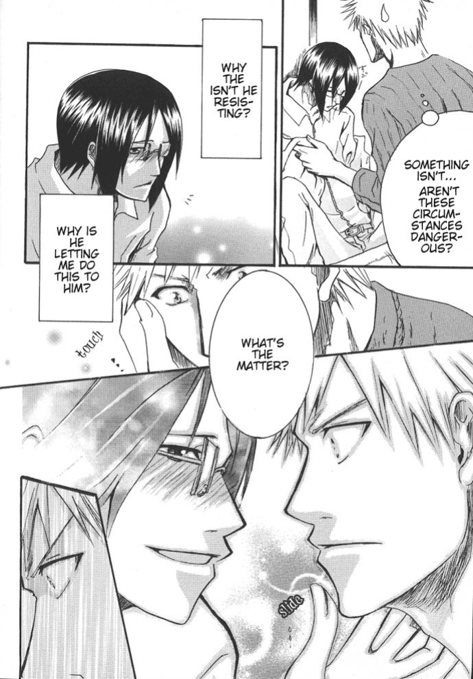 [NIKITA (Kira)] Road of the Family (Bleach) [Daphira]