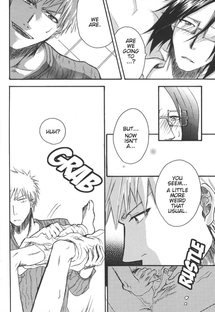 [NIKITA (Kira)] Road of the Family (Bleach) [Daphira]
