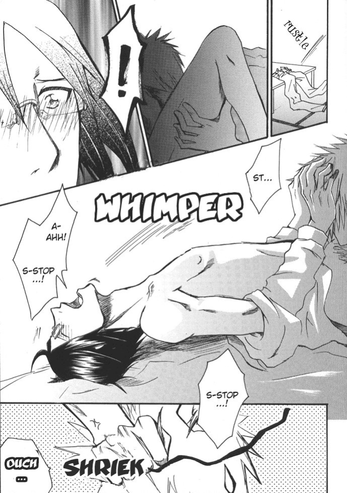 [NIKITA (Kira)] Road of the Family (Bleach) [Daphira]