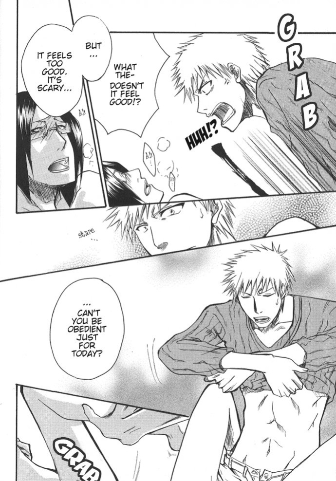 [NIKITA (Kira)] Road of the Family (Bleach) [Daphira]