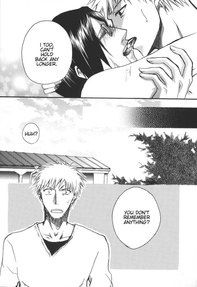 [NIKITA (Kira)] Road of the Family (Bleach) [Daphira]