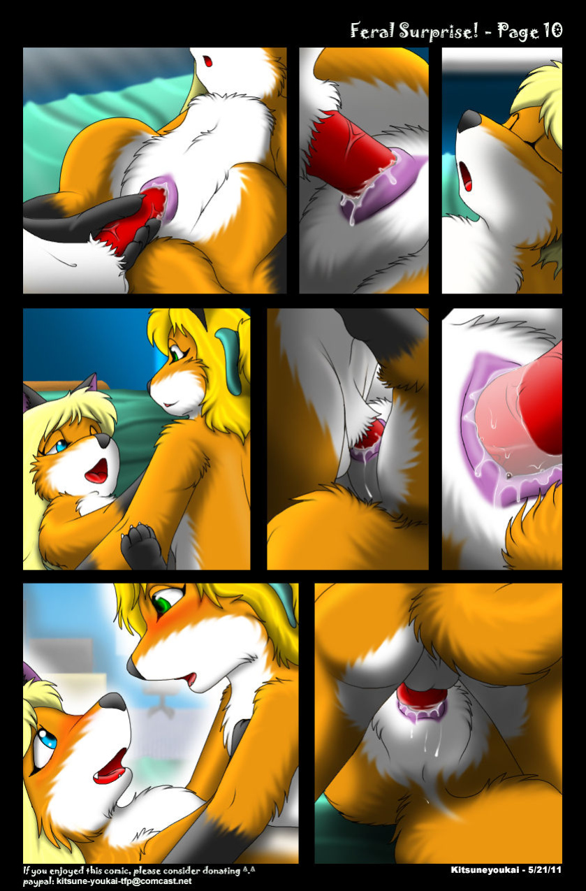 [Kitsune Youkai] Feral Surprise!