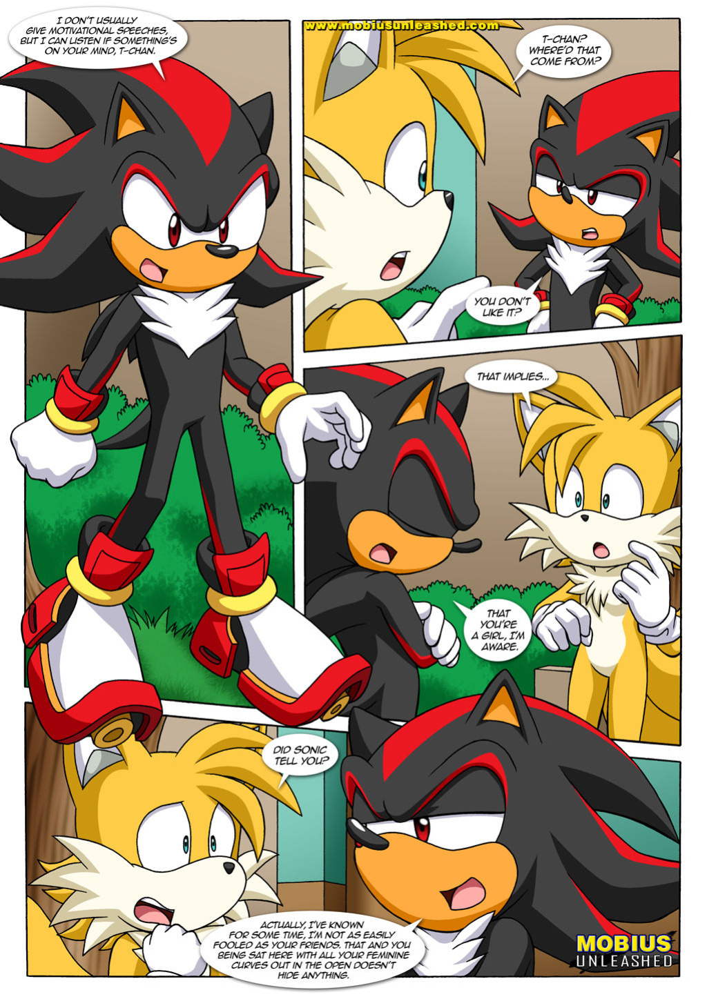 [Palcomix] Tails Tales 2