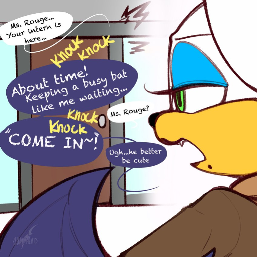 [Goat-kun] Tails and Rouge (Sonic the Hedgehog)
