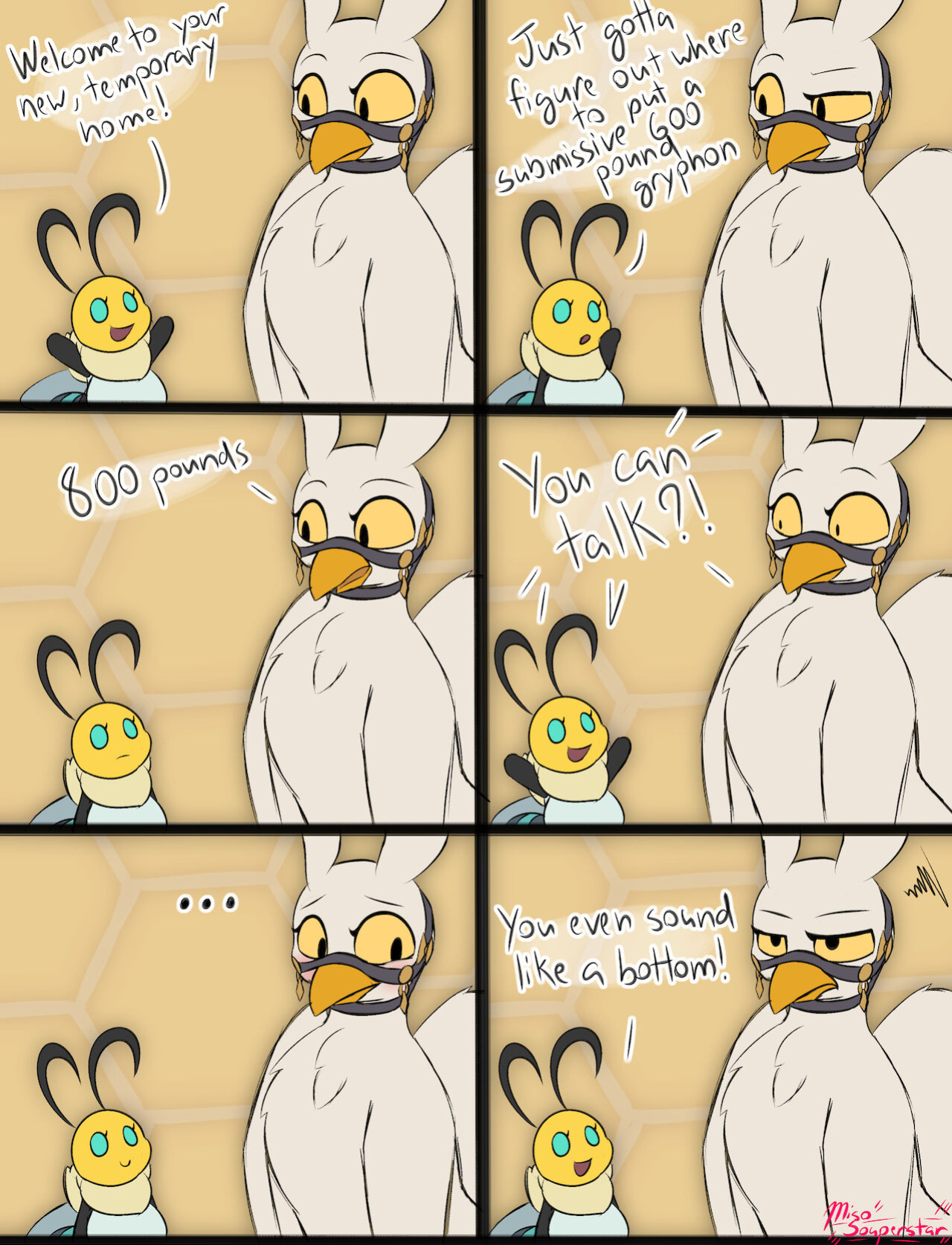 Griffon Boi Zephryn