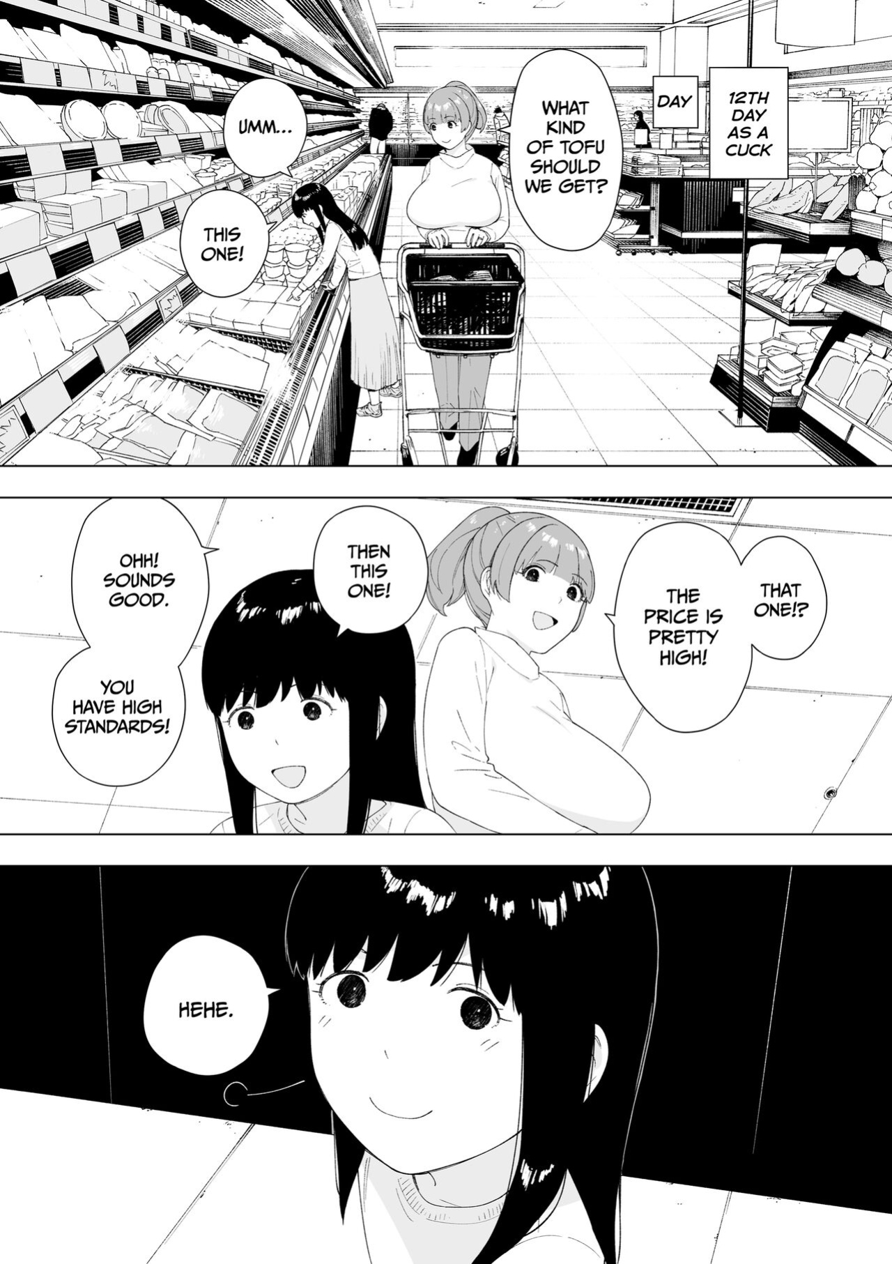 [NT Labo (NT Robo)] Aisai, Doui no Ue, Netorare 5 ~Moriguchi-ke no Onna~