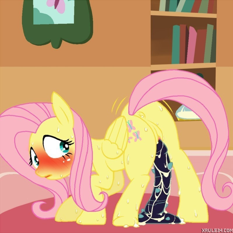 shy fluttershy