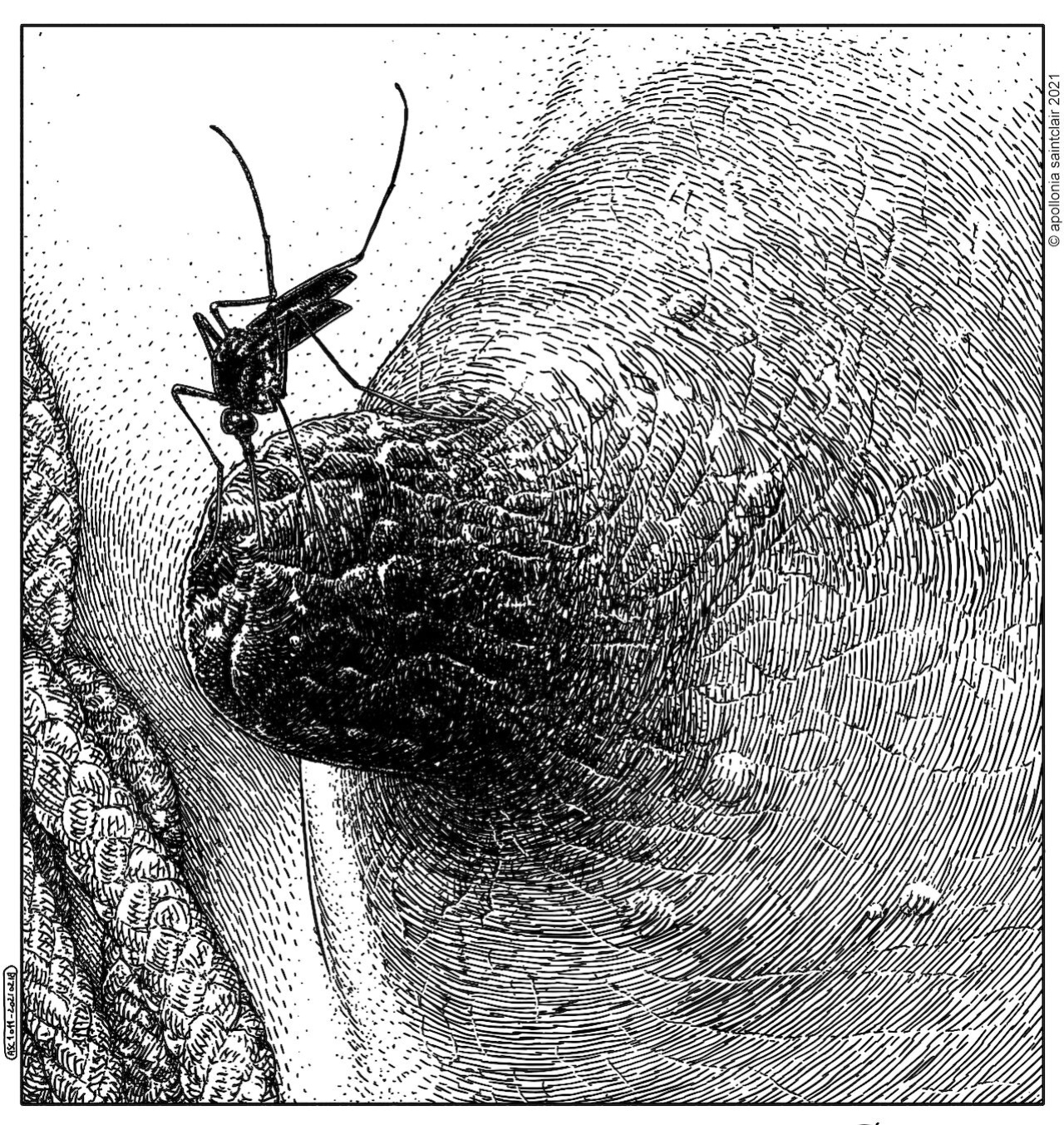 [Patreon] Apollonia Saintclair
