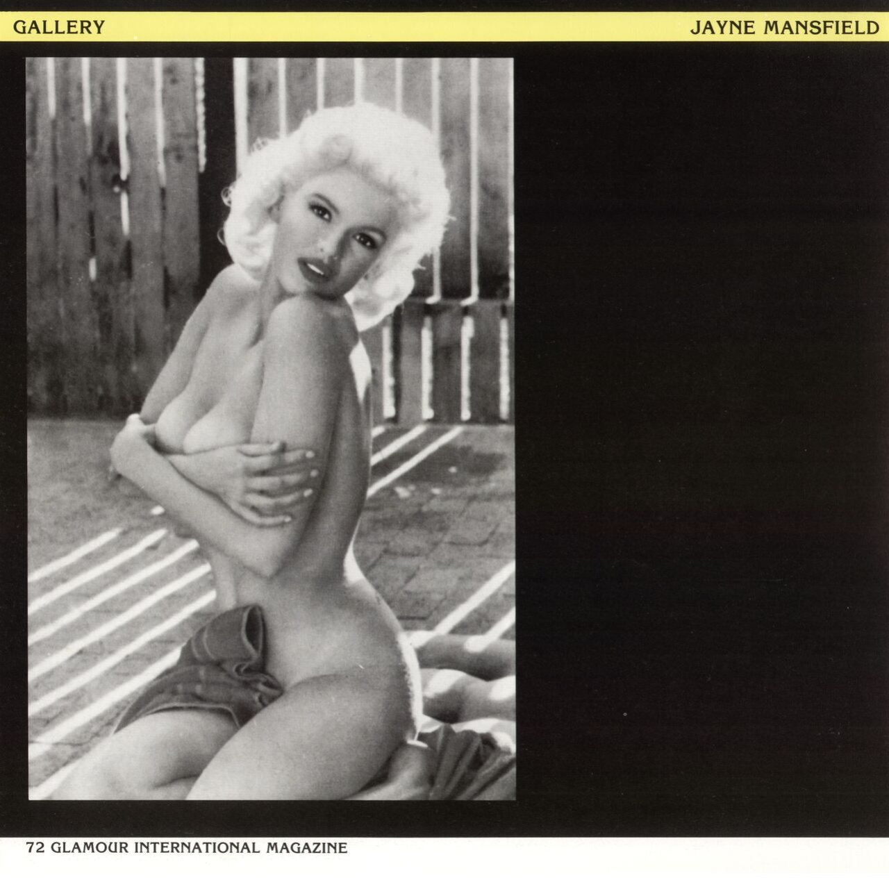 Glamour International 6 - Pelle e Frusta