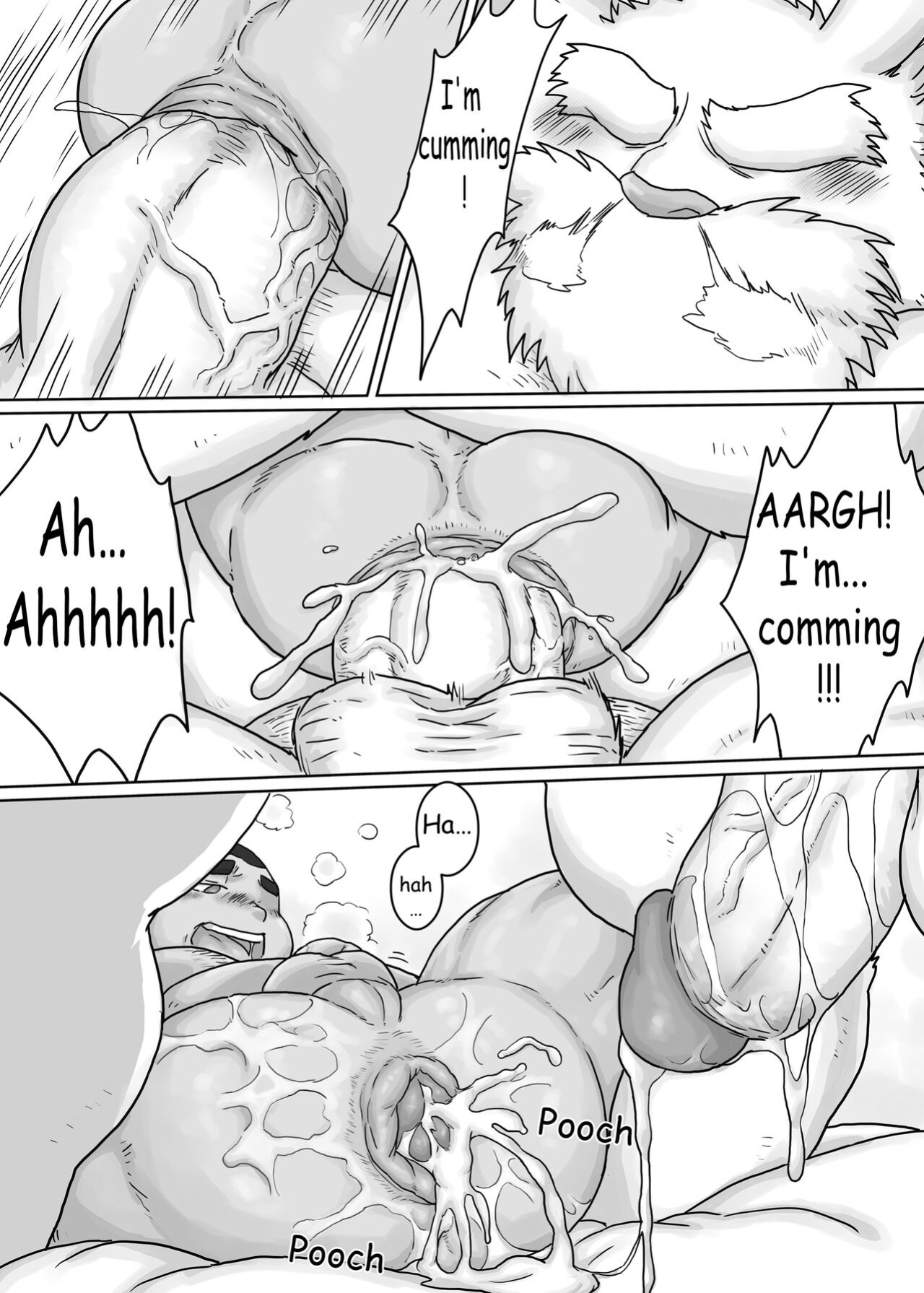 [Renoky] Zodiac Animals 4