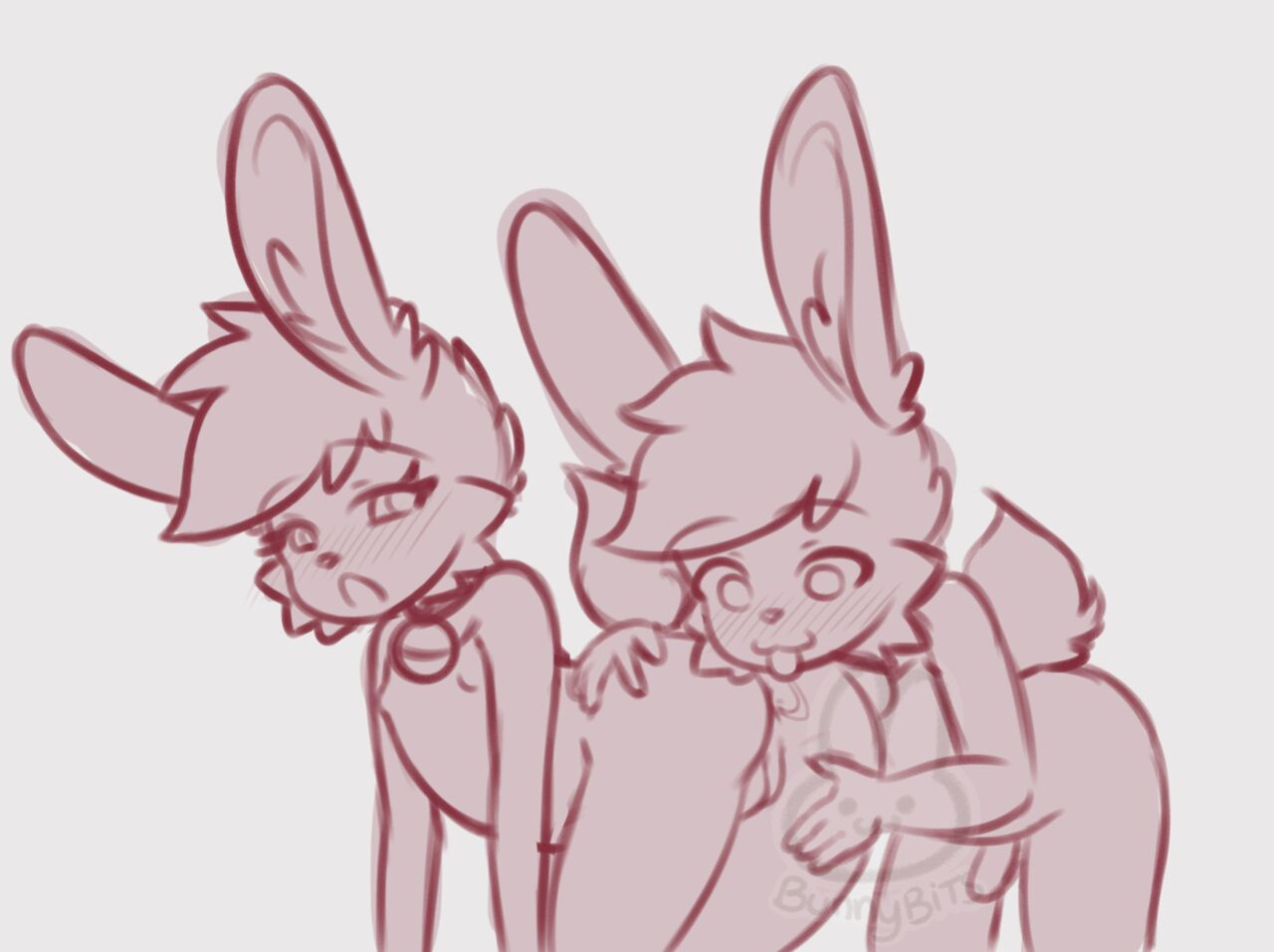 [Bunnybits] Collection from all places before the french busted it