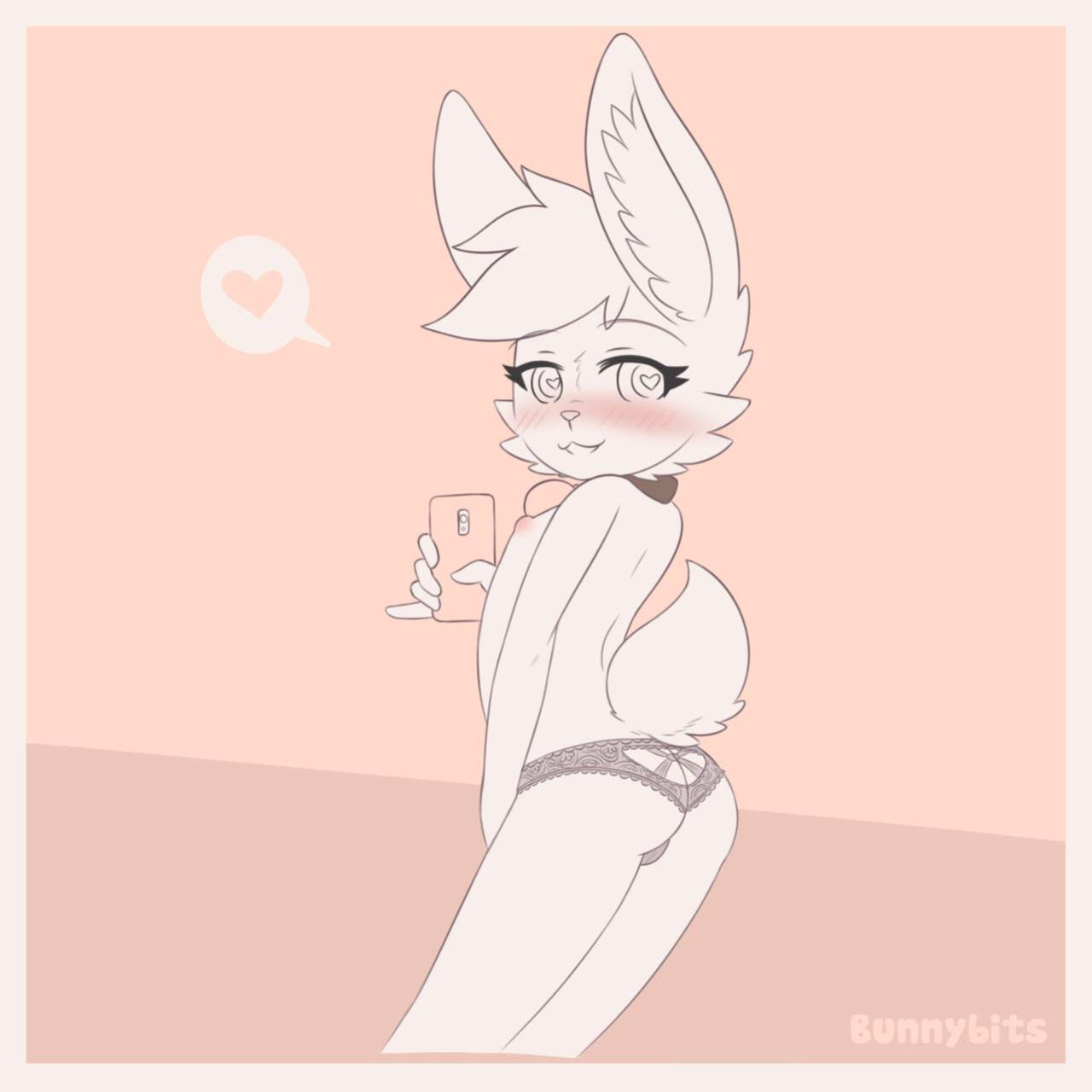 [Bunnybits] Collection from all places before the french busted it