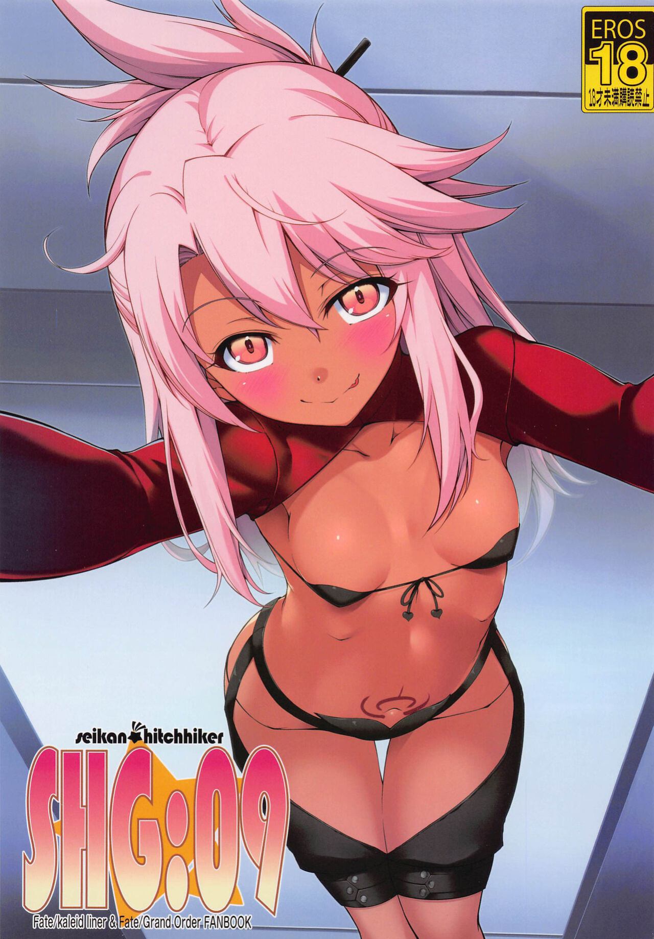 (C101) [Seikan Hitchhiker (Tsurugi Ai)] SHG:09 (Fate/kaleid liner Prisma Illya, Fate/Grand Order)