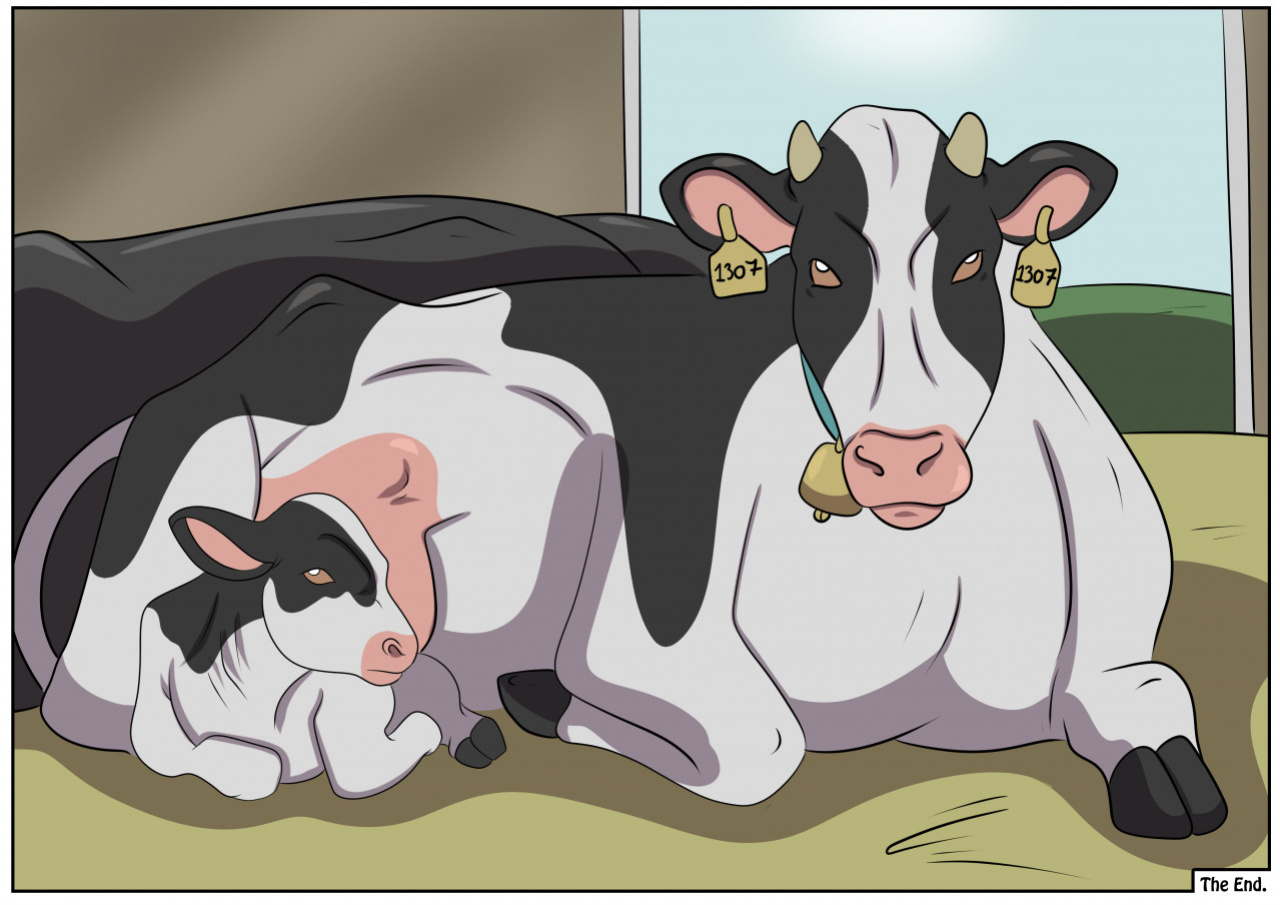 Rex_Equinox's Cows