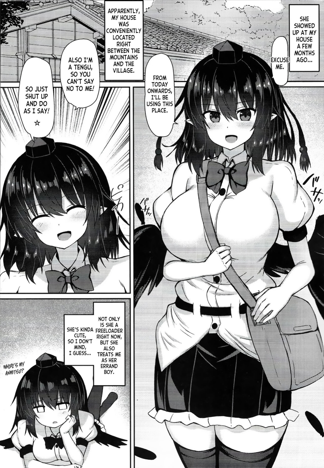 (C101) [tomikadou (tksand)] Tengu ga Ie ni Isuwatteru Ken (Touhou Project) [desudesu]
