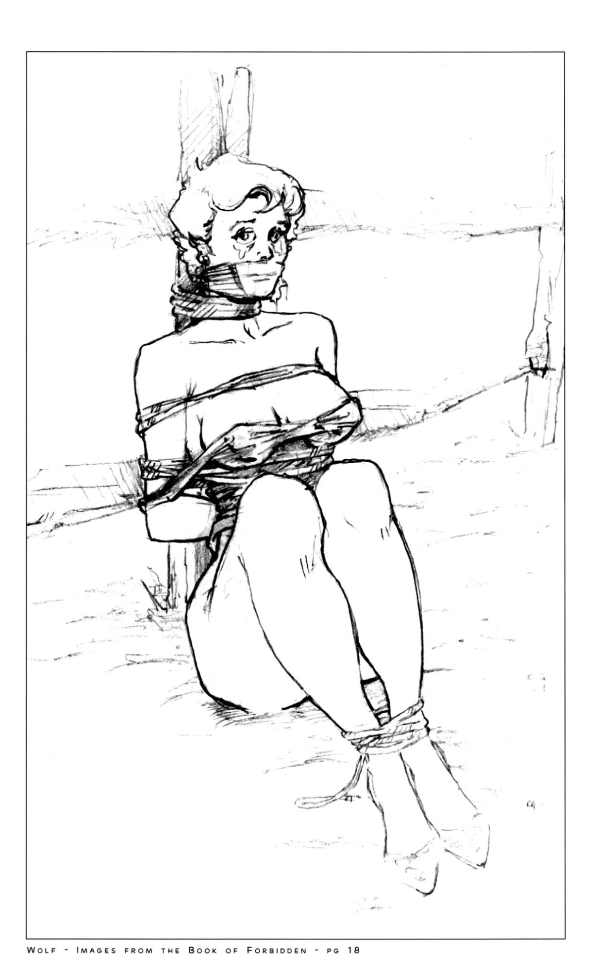 [Wolf] Images from the Book of Forbidden