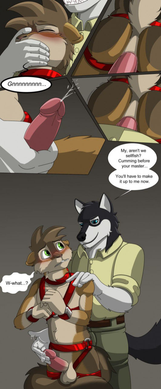 [LiteraturaBDSM] The Innocent Trainee