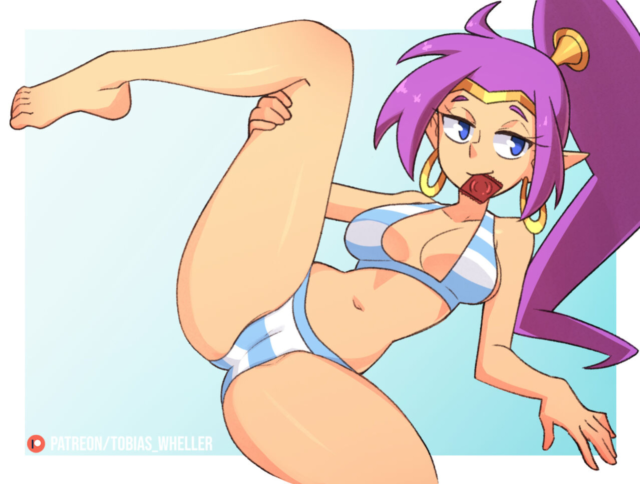 [Tobias Wheller] Shantae