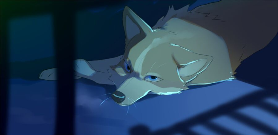 [Patreon] hioshiru