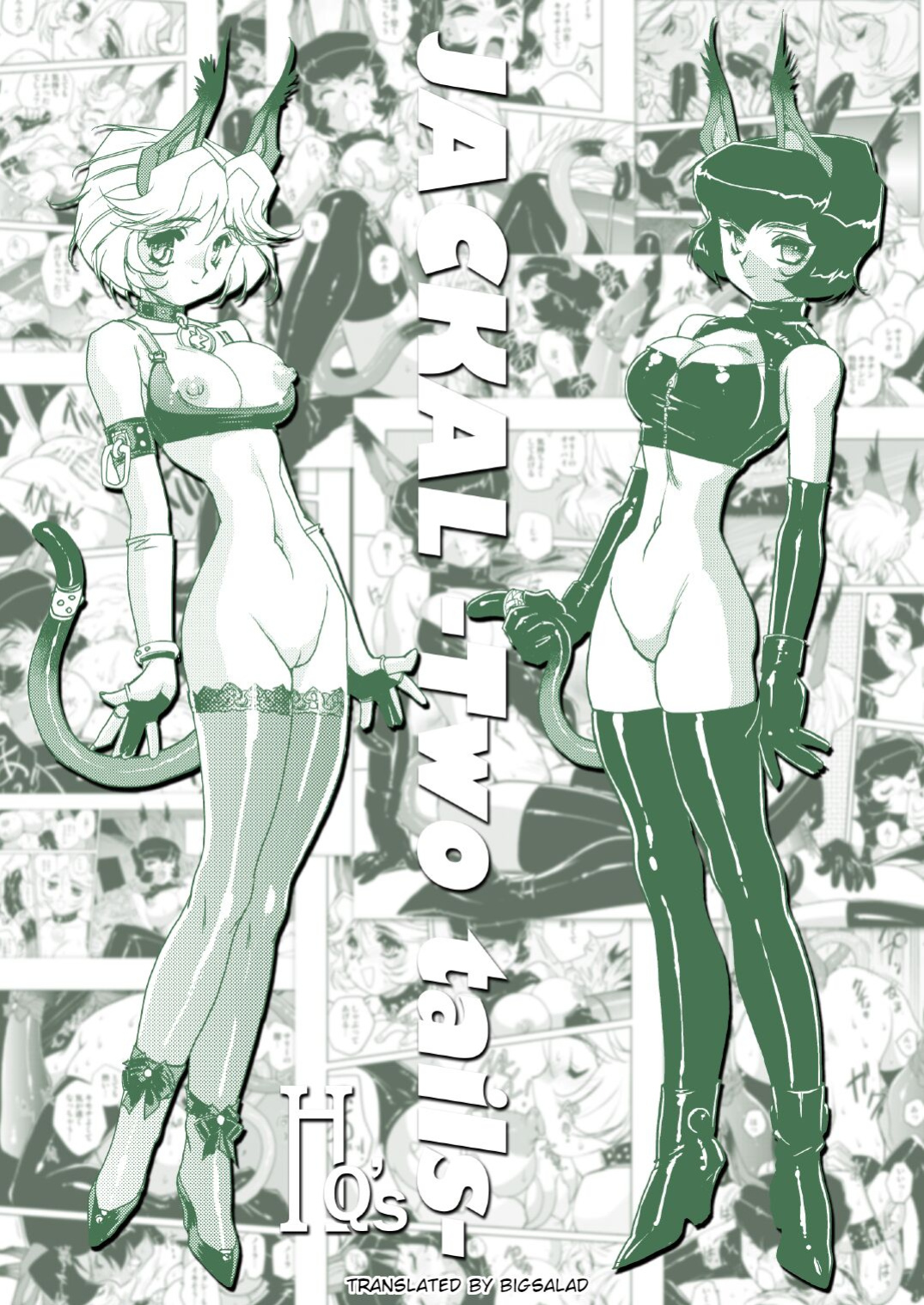 (C83) [HQ's (Kajiyama Hiroshi)] JACKAL -two tails- [BigSalad]