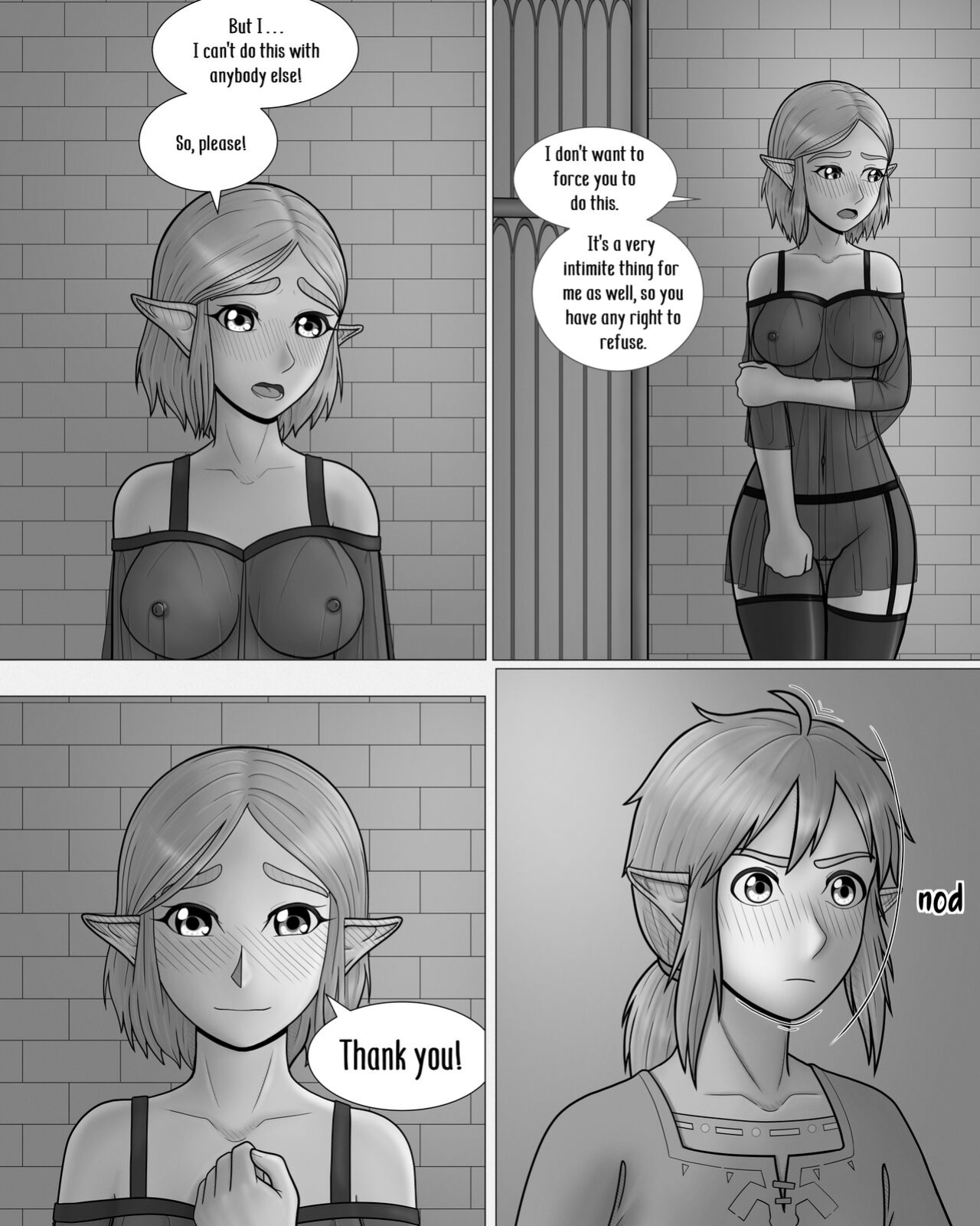 The Legend of Zelda: A Night with the Princess