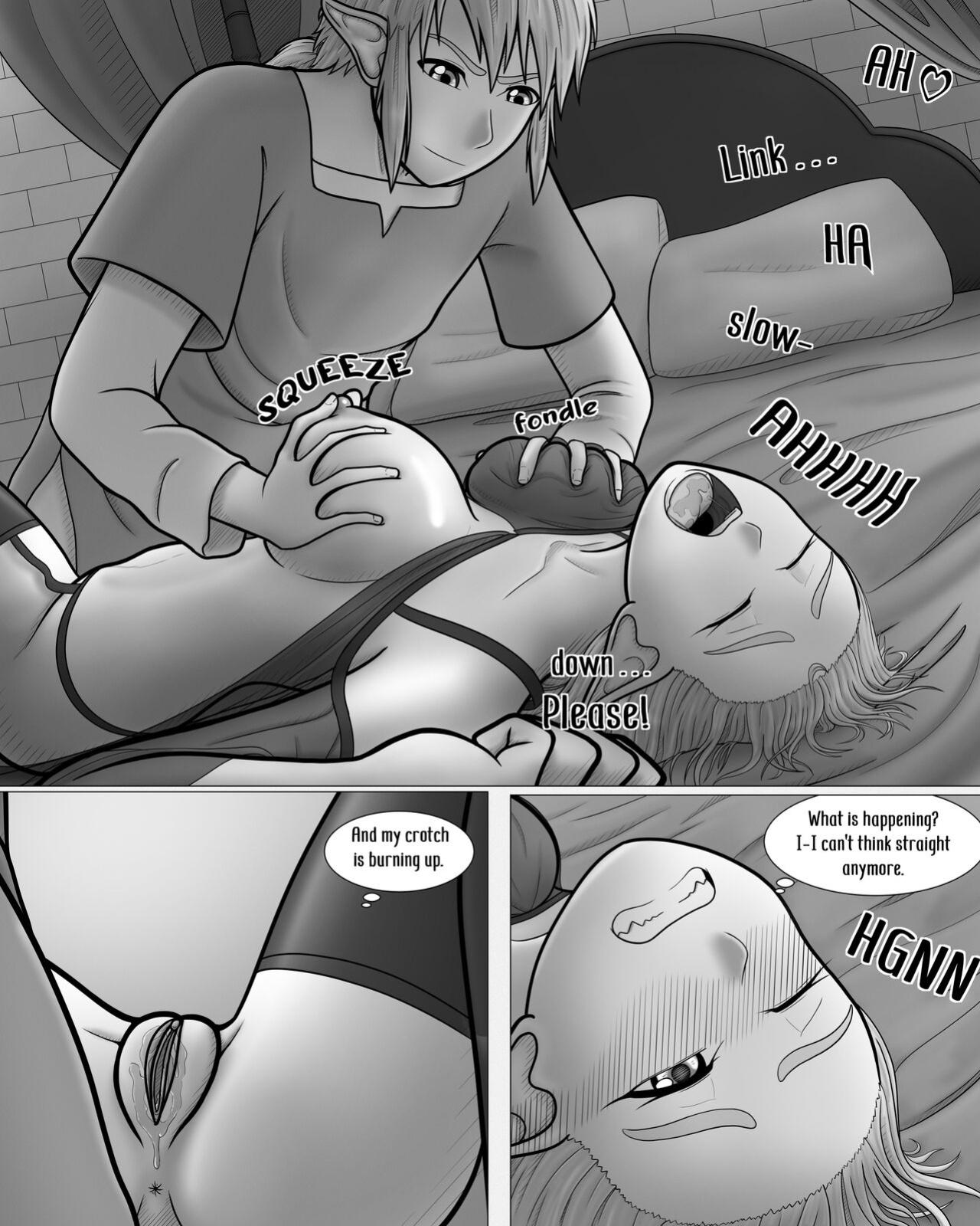 The Legend of Zelda: A Night with the Princess
