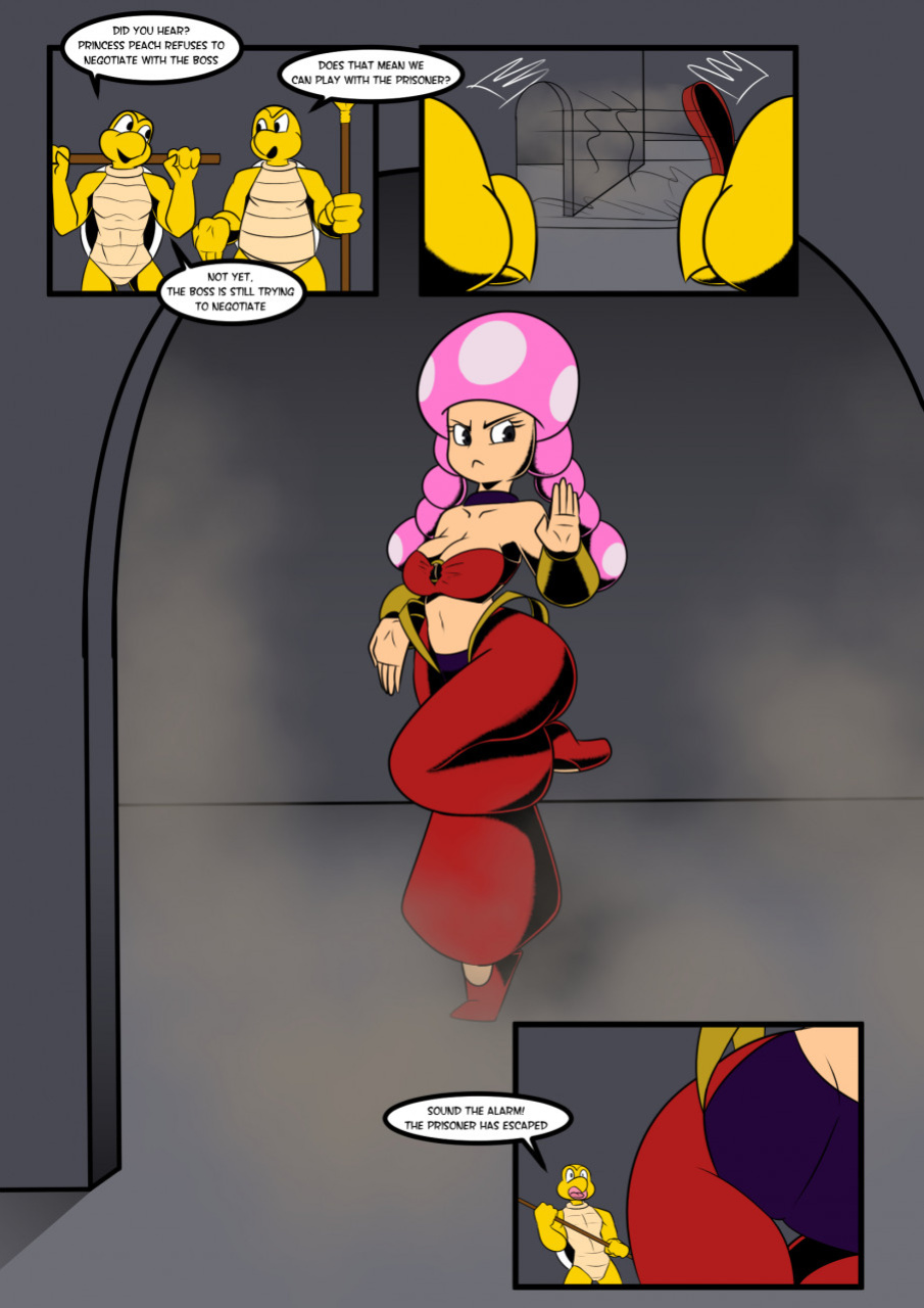 [Dyriuck_kaos] Shan-toadette (Mario)