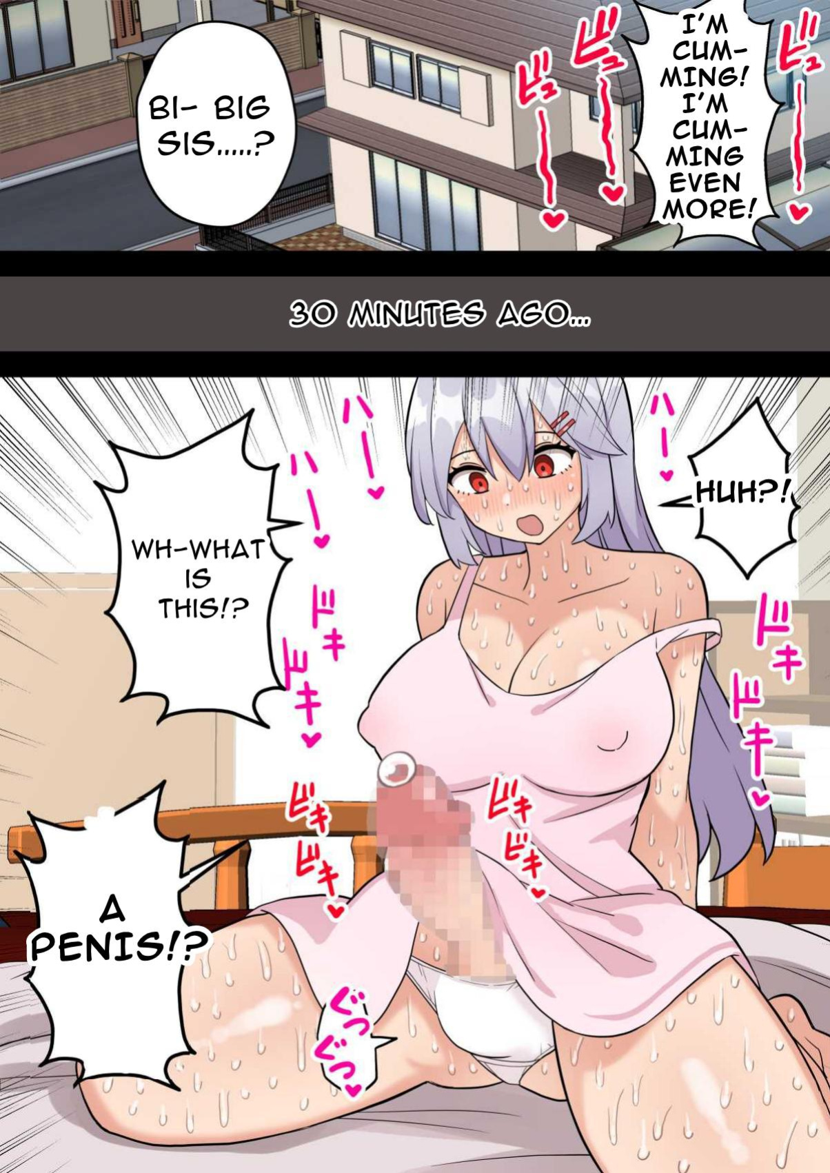 [Hotaru] One Day, I Want To Be My Big Sister's Cock Case | Imouto o Chinpo Case ni Suru Koutense Futanari Onee-chan no Hanashi [T's Translations]