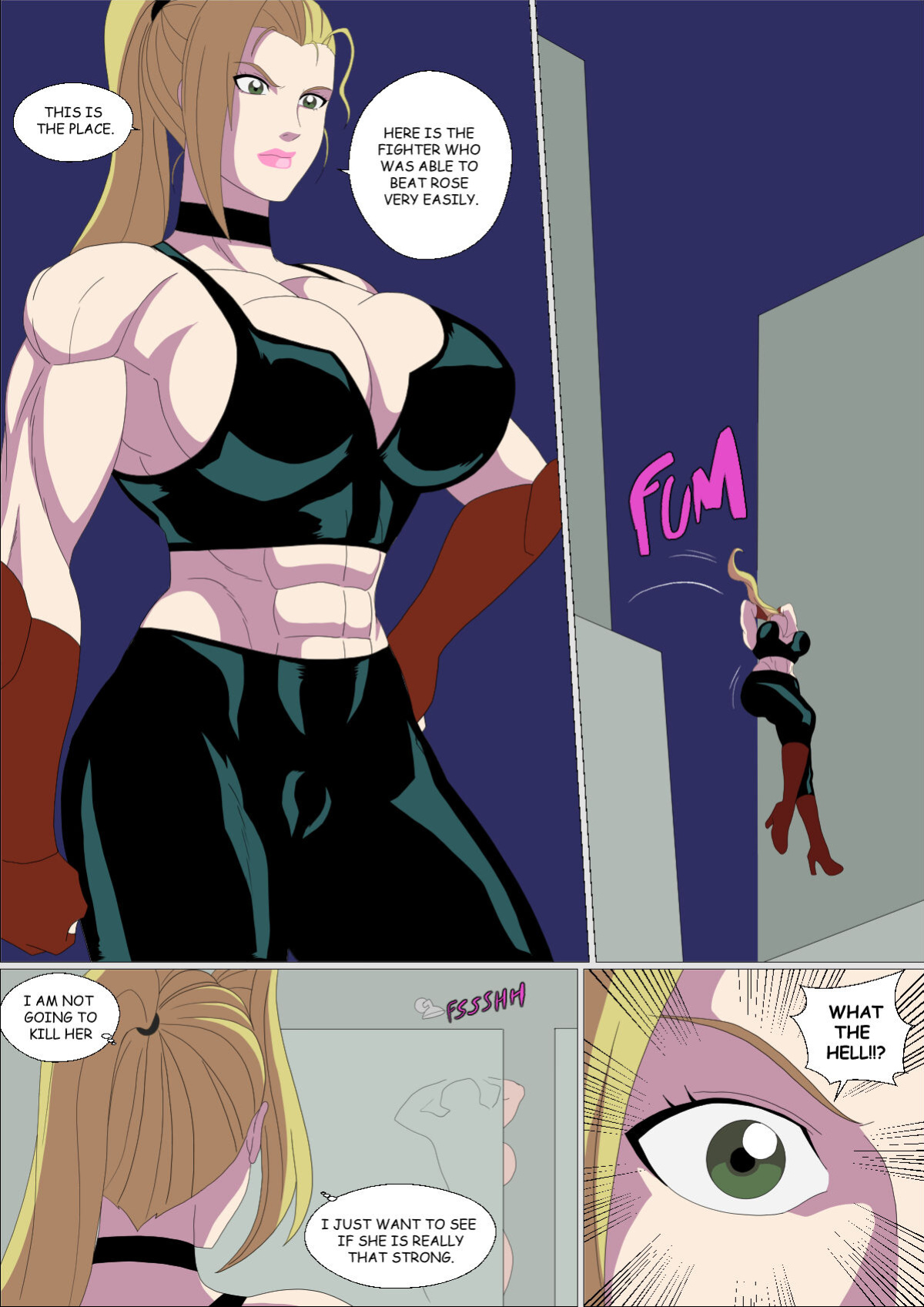 (Zetarok) Street Fighter Girls (Standard-Definition)