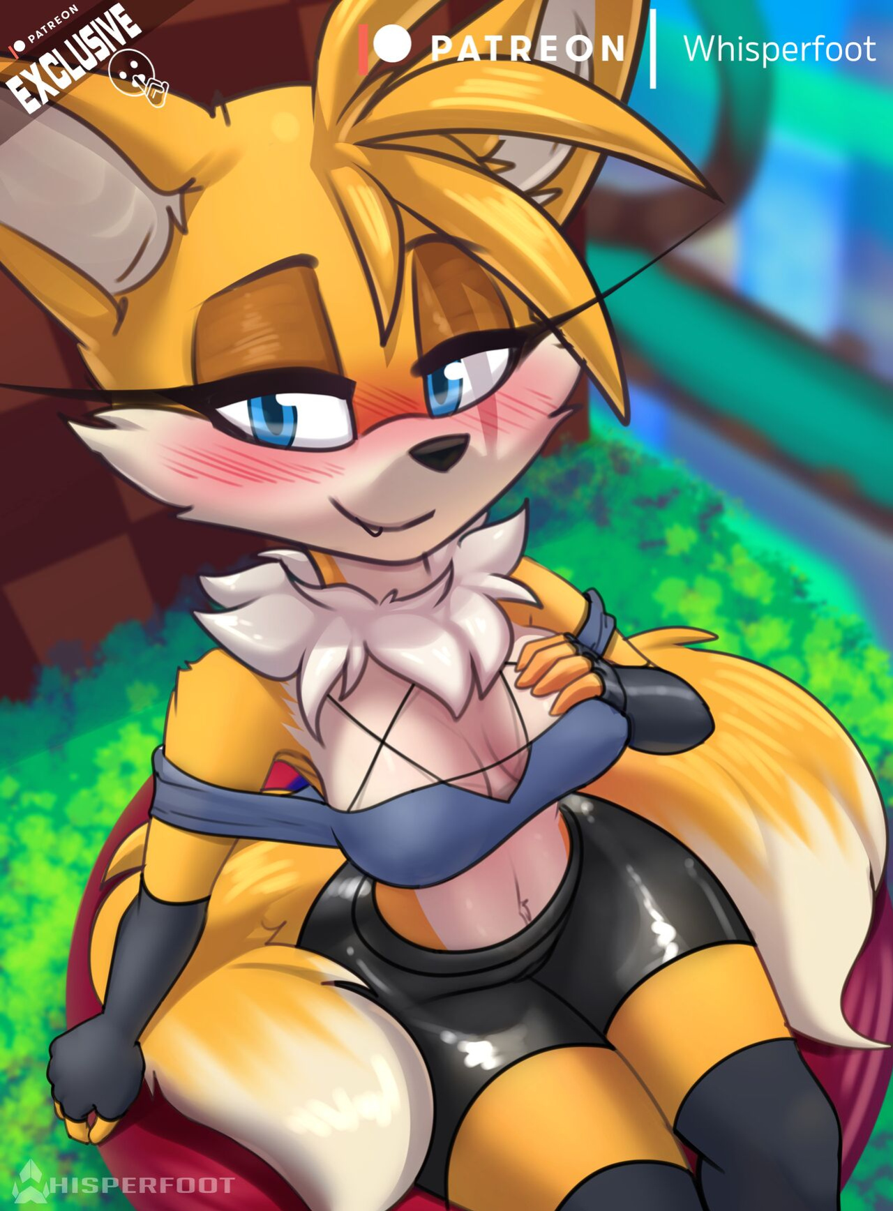 Tailsko Spring Board~ (Sonic the Hedgehog)
