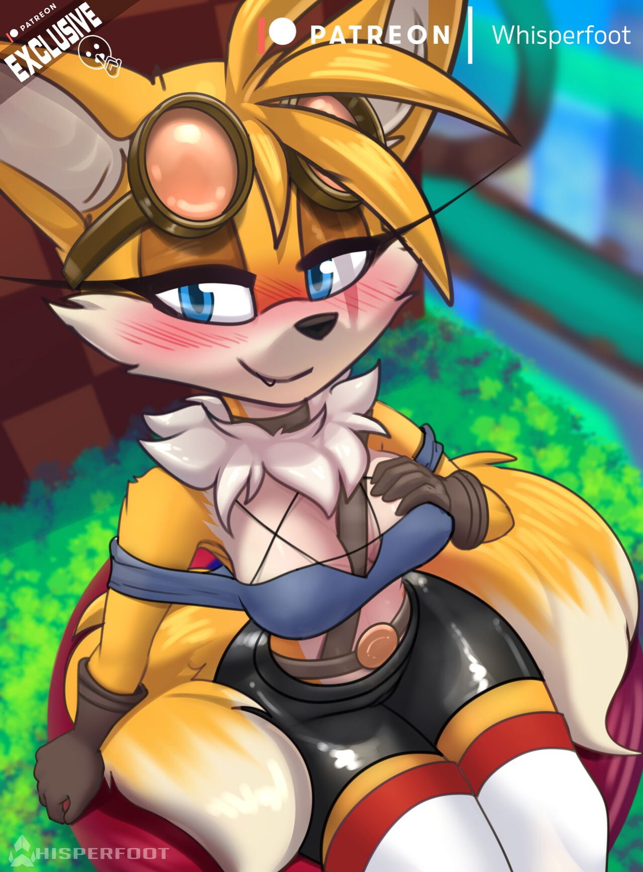 Tailsko Spring Board~ (Sonic the Hedgehog)