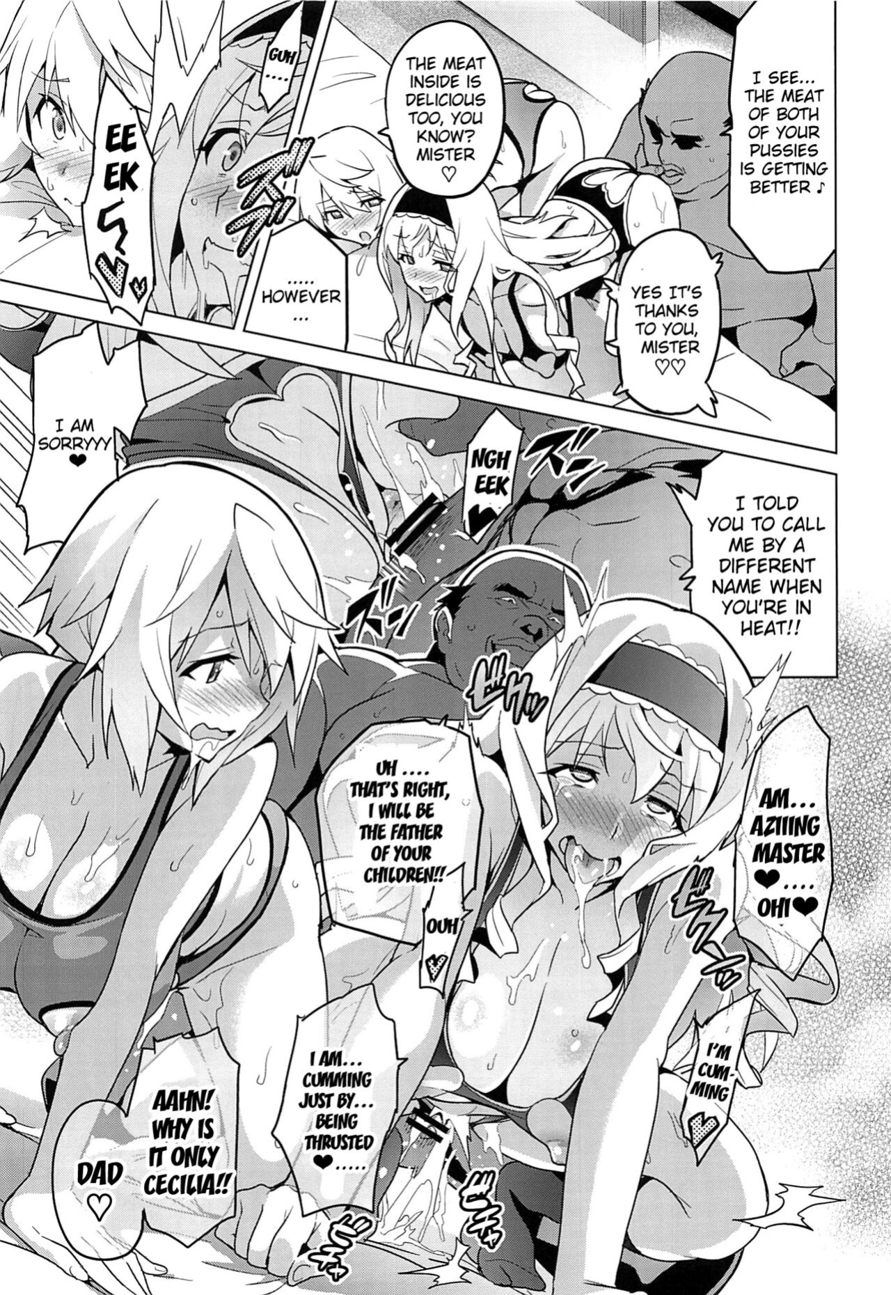 [Shinjugai (Takeda Hiromitsu)] Sutotama (IS <Infinite Stratos>)