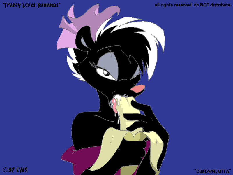 Eric Schwartz - Too Much Adult Art CD (v1.4 2004)