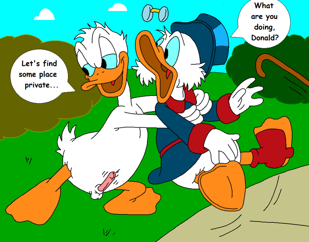 The Stalking Duck [completed]