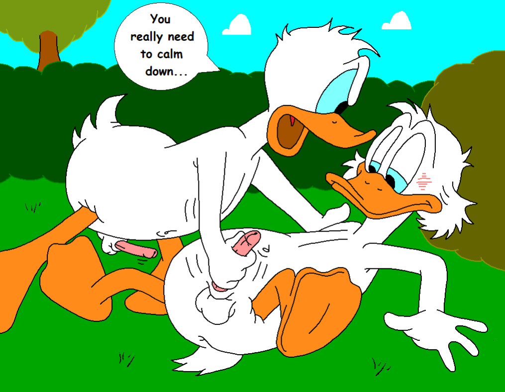 The Stalking Duck [completed]