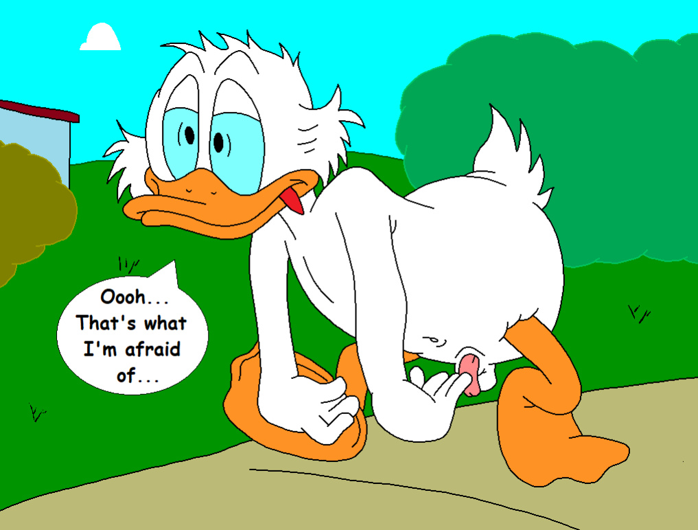 The Stalking Duck [completed]