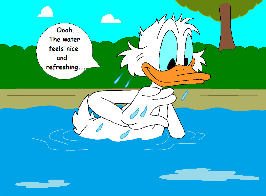 The Stalking Duck [completed]
